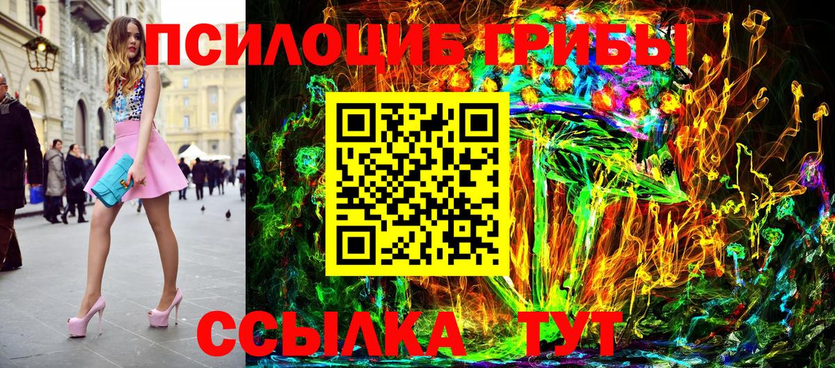 Междуреченск  Псилоцибиновые грибы Cubensis  Вход с VPN 