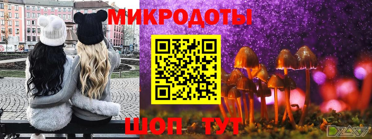 Галлюциногенные грибы мухоморы Междуреченск